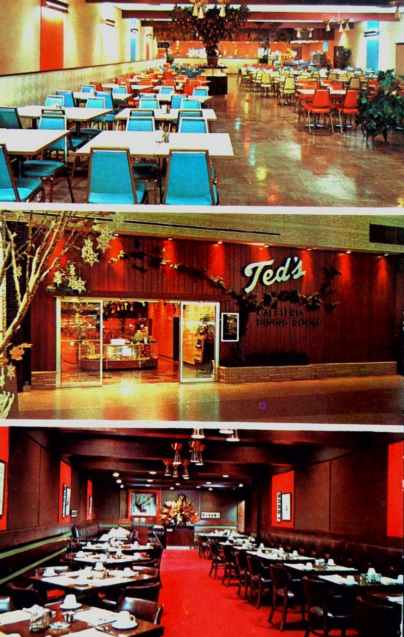 Teds Drive-In (Teds Trailer) - Old Postcard